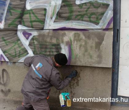 Falfirka eltávolítás közben