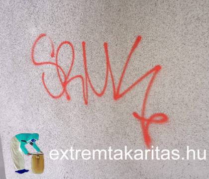 Falfirka eltávolítás előtt